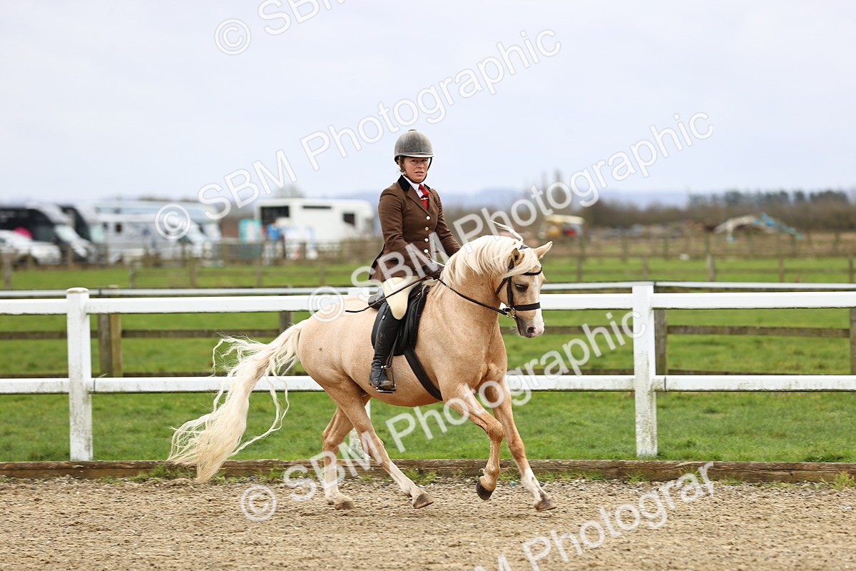 SBM_006765 - Class 29 - 30 - M&M Pure Novice Small-Large Breeds