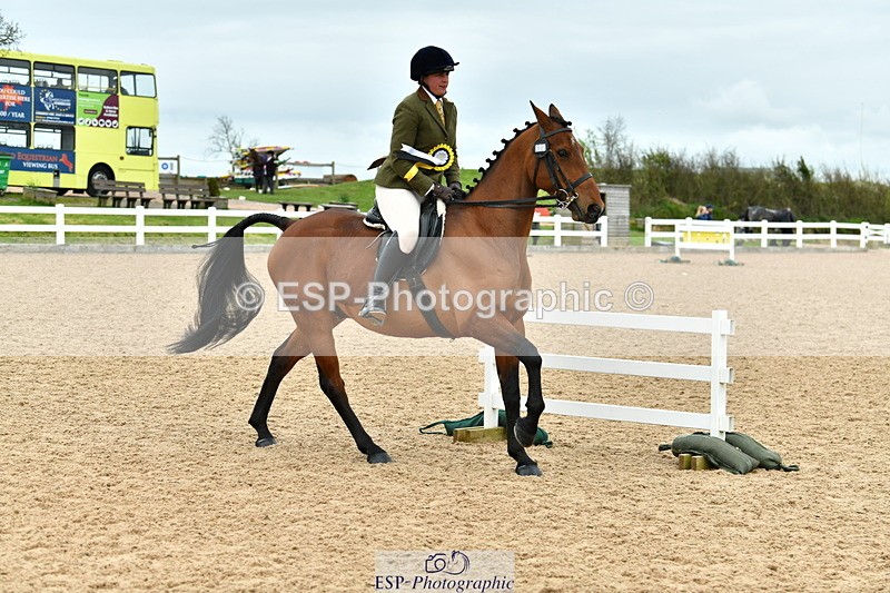 230416A-142455-05142 - Cls 67 Ridden Show Hunter