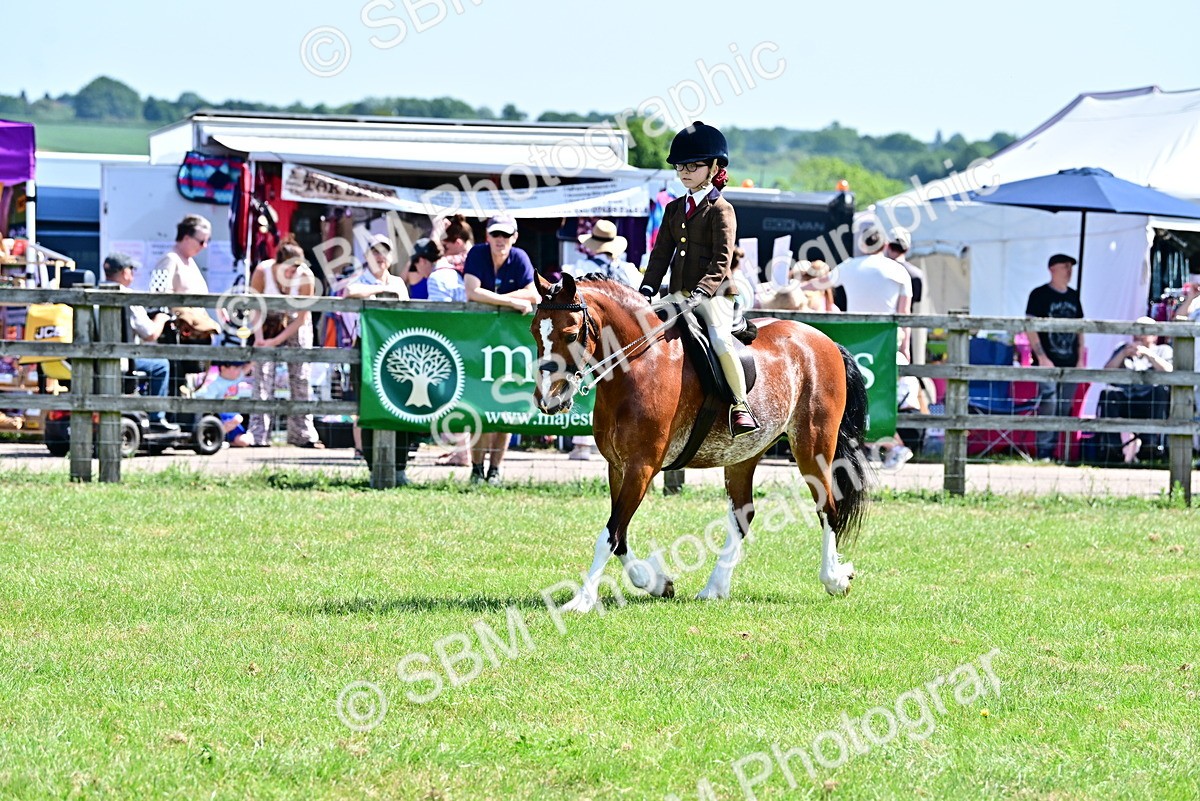 SBM_13915 - Class 95-97 - BSPS LHS Performance Ponies