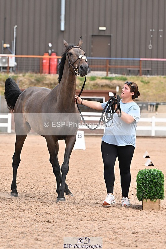 250716-142435-01065 - Trot Up 1.30 to 2.30