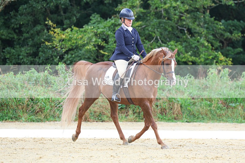 3E7A1931 - Class 1: Intro 4 2024 section A