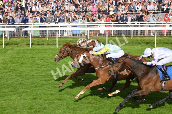yr21052022r7-37 - Race 7: 5:15pm Reg Bond Always and Forever Stakes