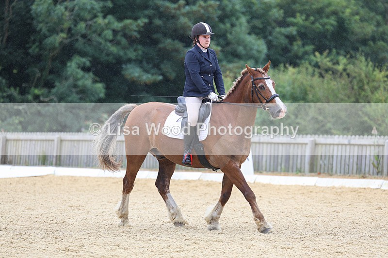 3E7A4767 - Class 1: Intro 4 2024 section A