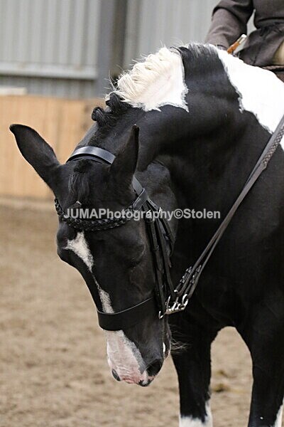 SIAL2970 - Sunday 14th Ridden