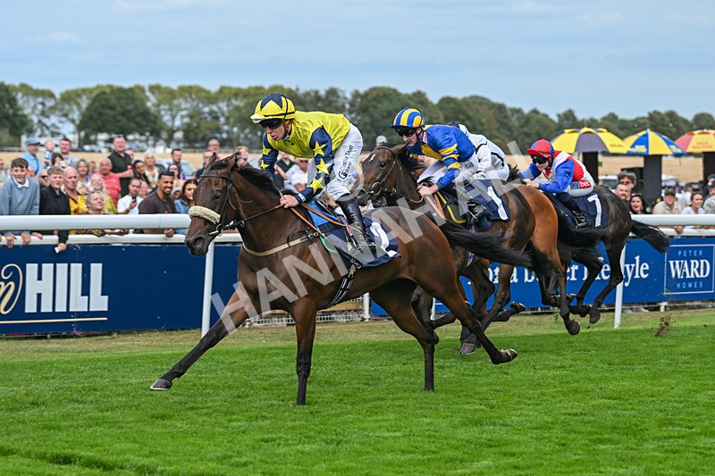 300825-Race 4-Lady Britain-1278 - Race 4