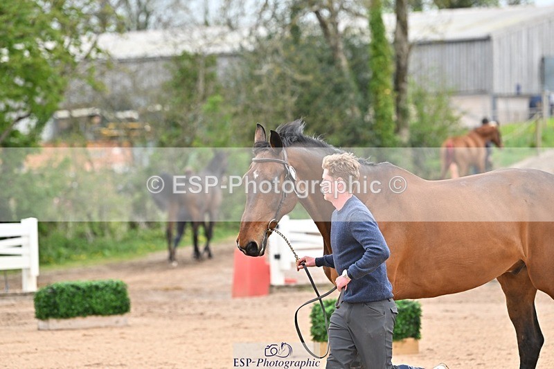 250423-160632-01956 - 4pm to 5pm