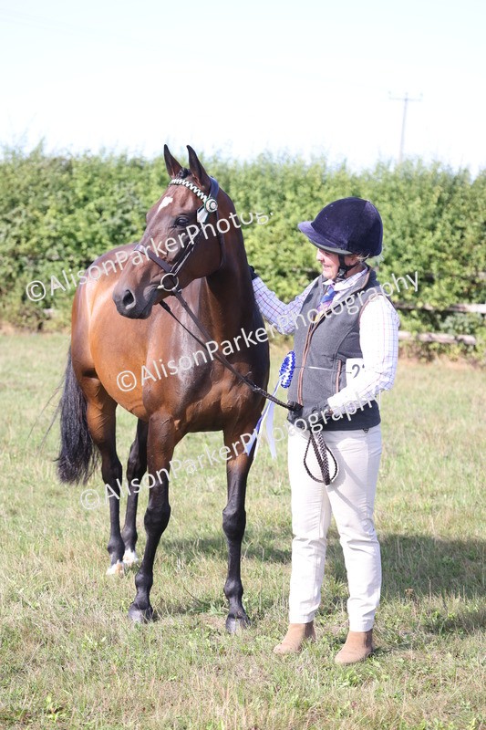 20260906-0726 - Class 22 - Ex Racehorse