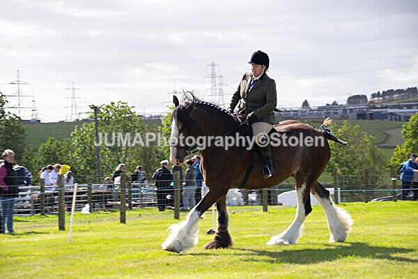 DSC_0244 - Ring 1