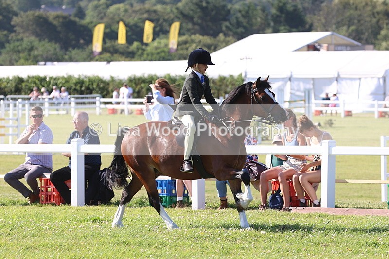 JPP_1286 - Class 18: Cornish Combination Young Rider