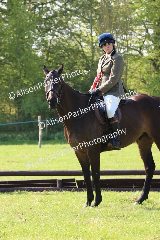 20250427-0591 - Class 17 - Novice Showing