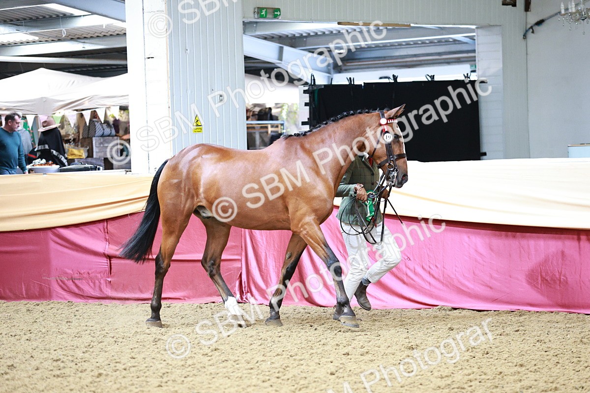 SBM_01390 - Class 3A - Area IH Pre-Vet