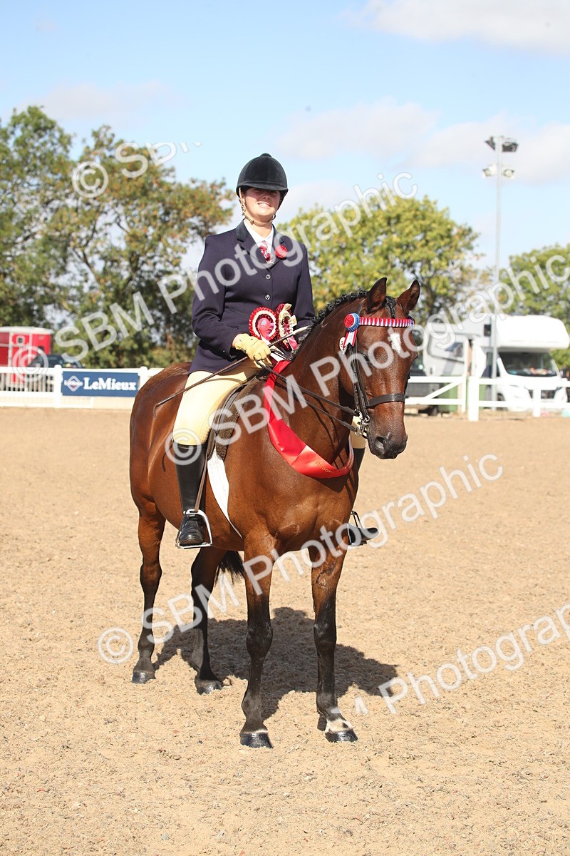 SBM_22853 - Class 602 - 2026 Area - Ridden Veteran