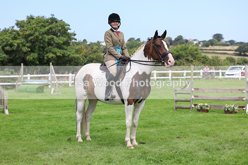 3E7A8834 - Class 5: Working Show Horse