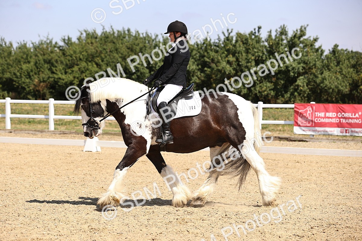 SBM_003688 - Intro 2