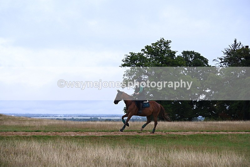 DSC_3741 - Time at Statue 13:51 to 14:55