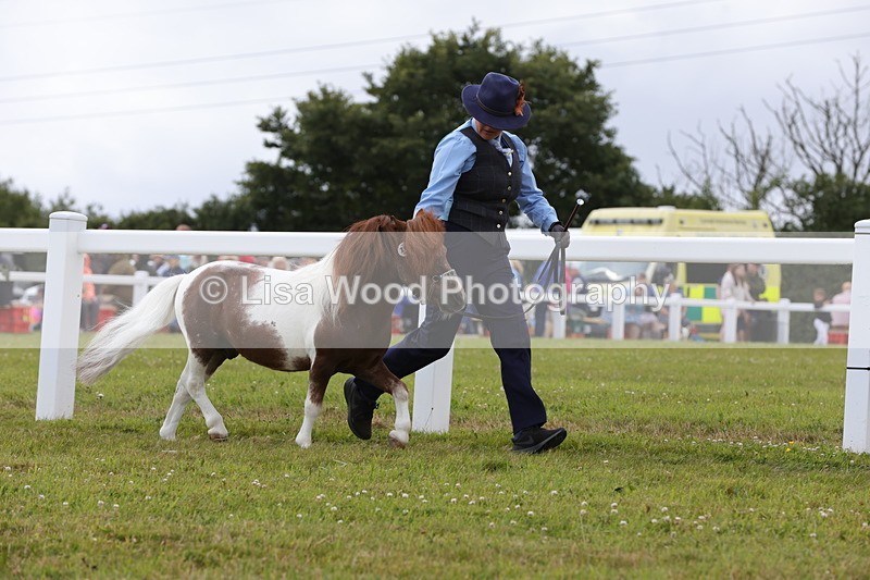 1X9A4744 - Class 35: Veteran In Hand
