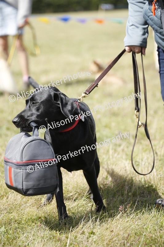 20250831-3673 - Dog Show