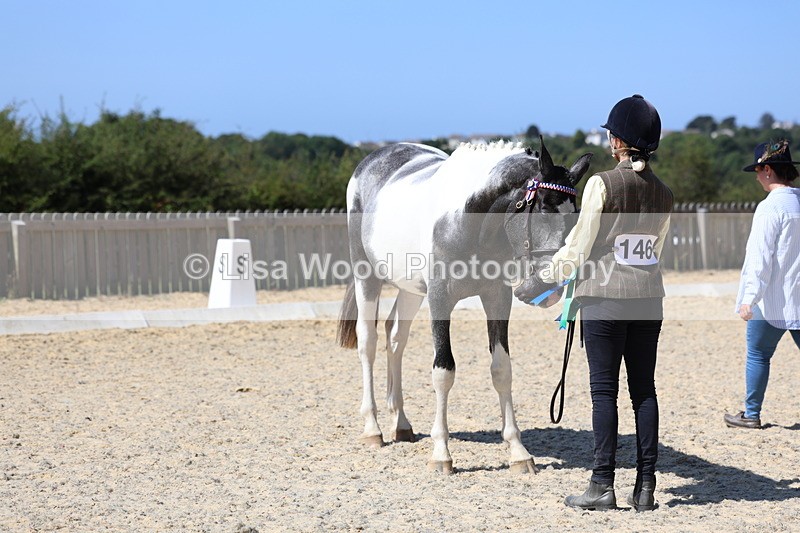 3E7A9912 - In Hand Championship