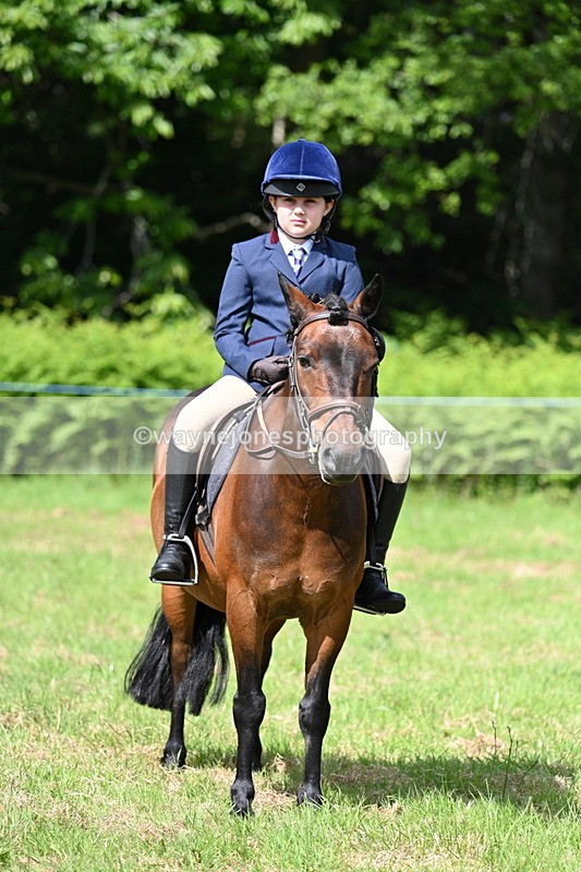 WJ7_0874 - Class 8 First Rally Pony