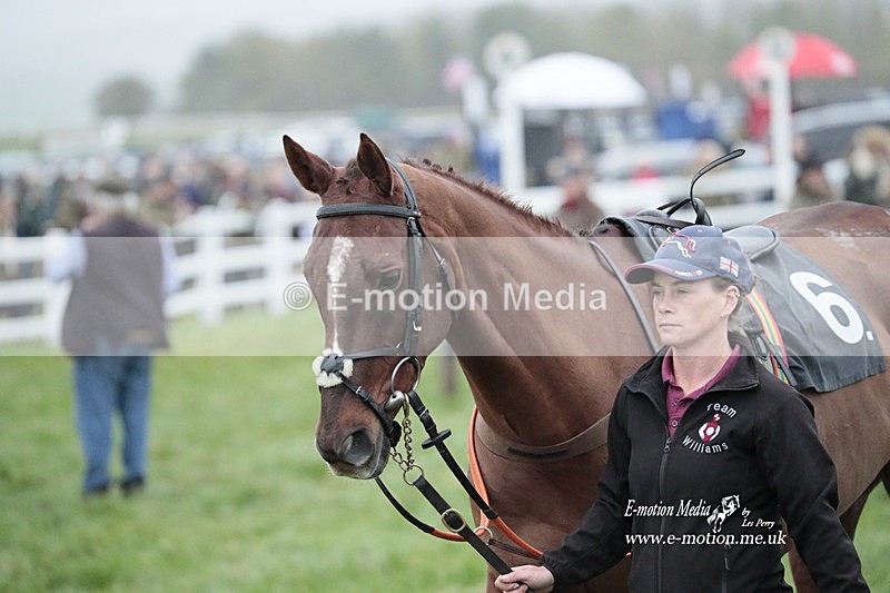 PtP 271122 974 - Hursley Hambledon Hunt Point-to-Point - Larkhill - 27/11/22