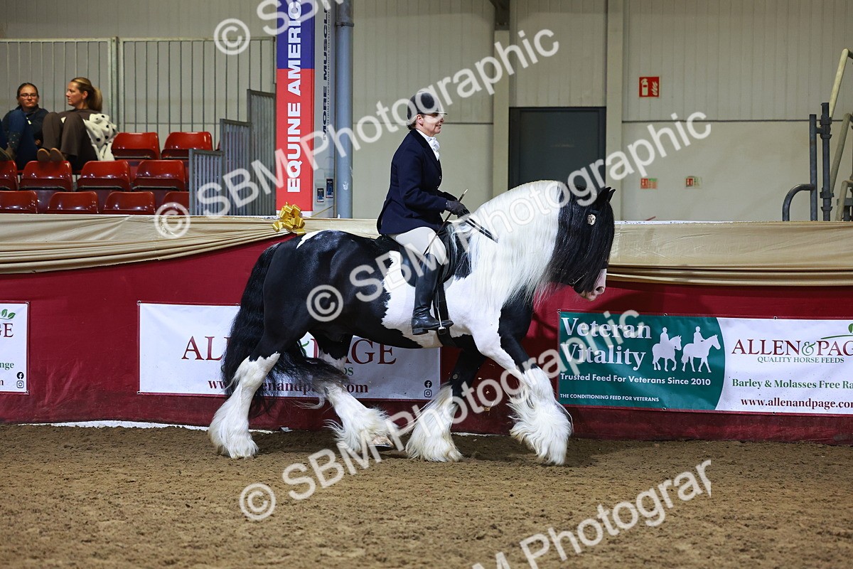 SBM_15381 - Class Q - Ridden Horse Champ