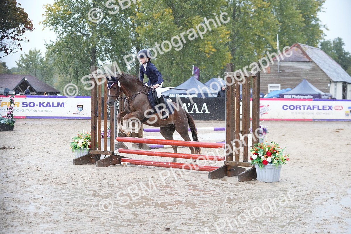 SBM_36240 - J5 - Junior Pony 50cm Championship