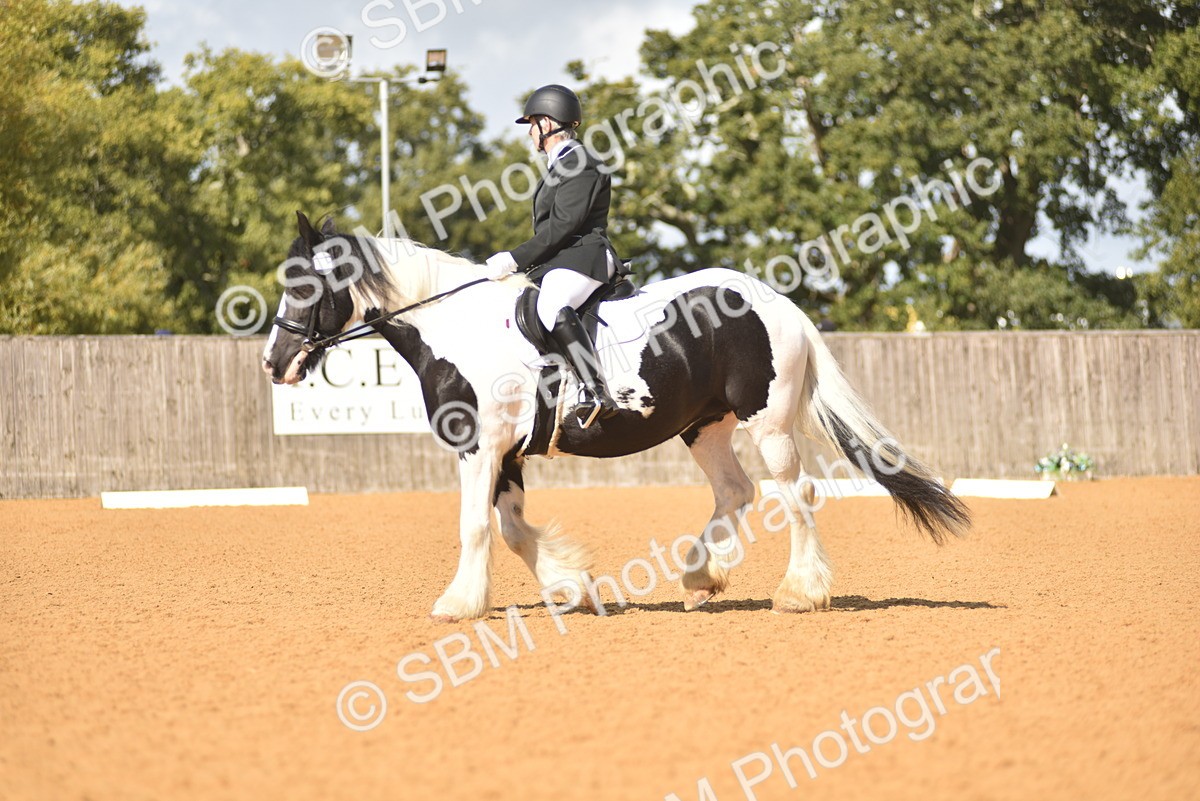 SBM_03379 - D4 - Small Tour Championship Intro 4