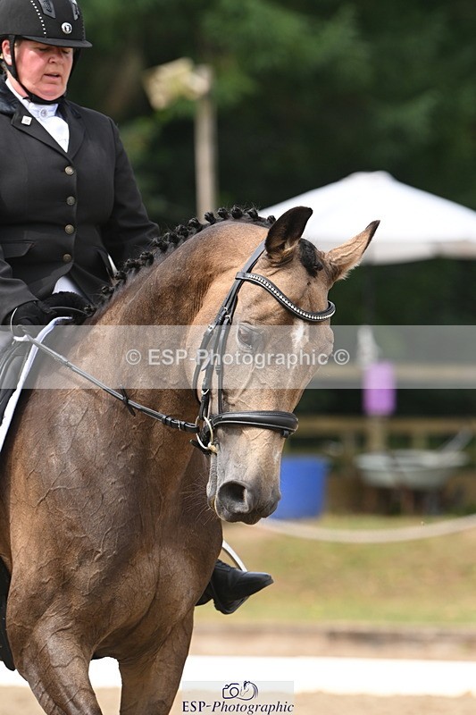 250719A-104533-04016 - 127-Jocelyn.Gilmore-Spring.Lily