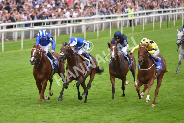 yr24072021r3-16 - Race 3 3.15pm Sky Bet York Stakes