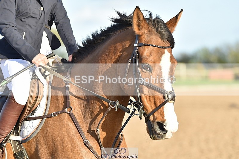 240409A-DSC_9629-02307 - 90cm