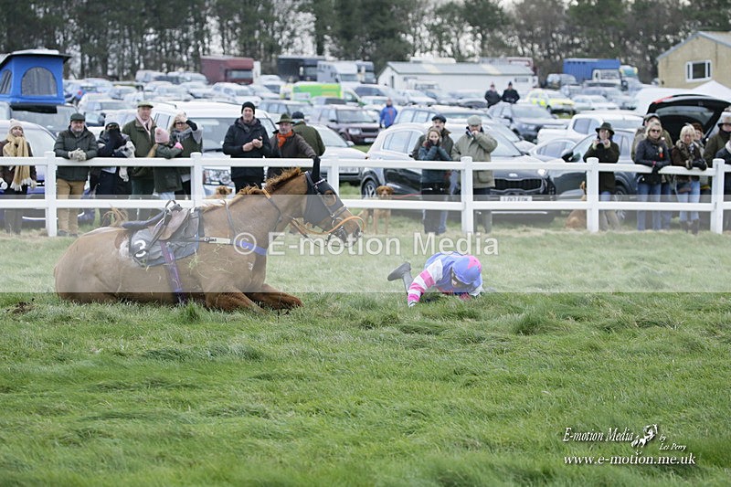 PtP 281121 0596 - Hursley Hambledon Point-to-Point Larkhill 28/11/21