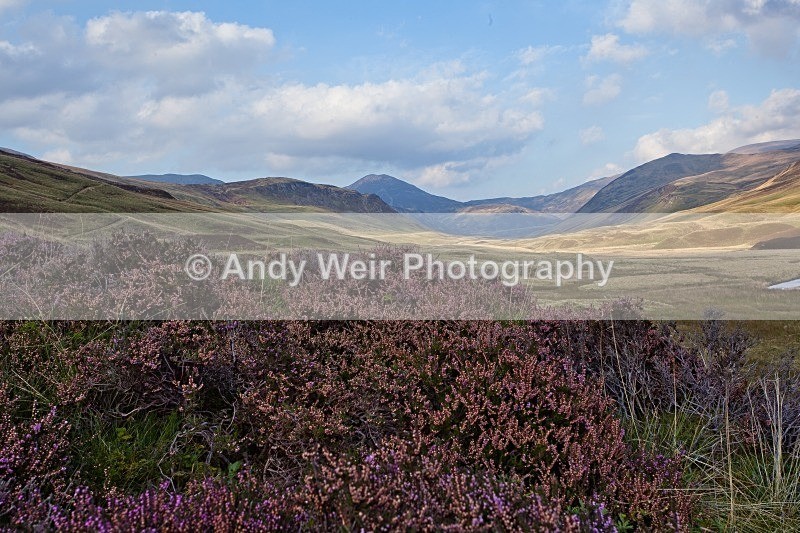20110928-_MG_6546 - Scotland