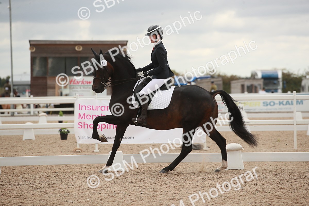 SBM_06132 - Class 33 - Elementary 1