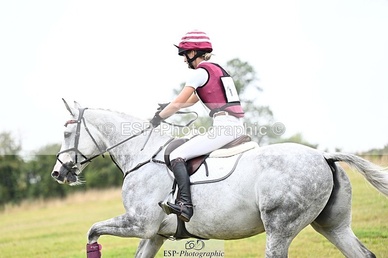 TS_b3399424 - SAT BE 90 Recovered Files fence 8