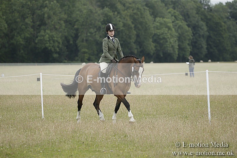 B230619-0307 - Bourne Valley Riding Club Summer Show 23/06/19
