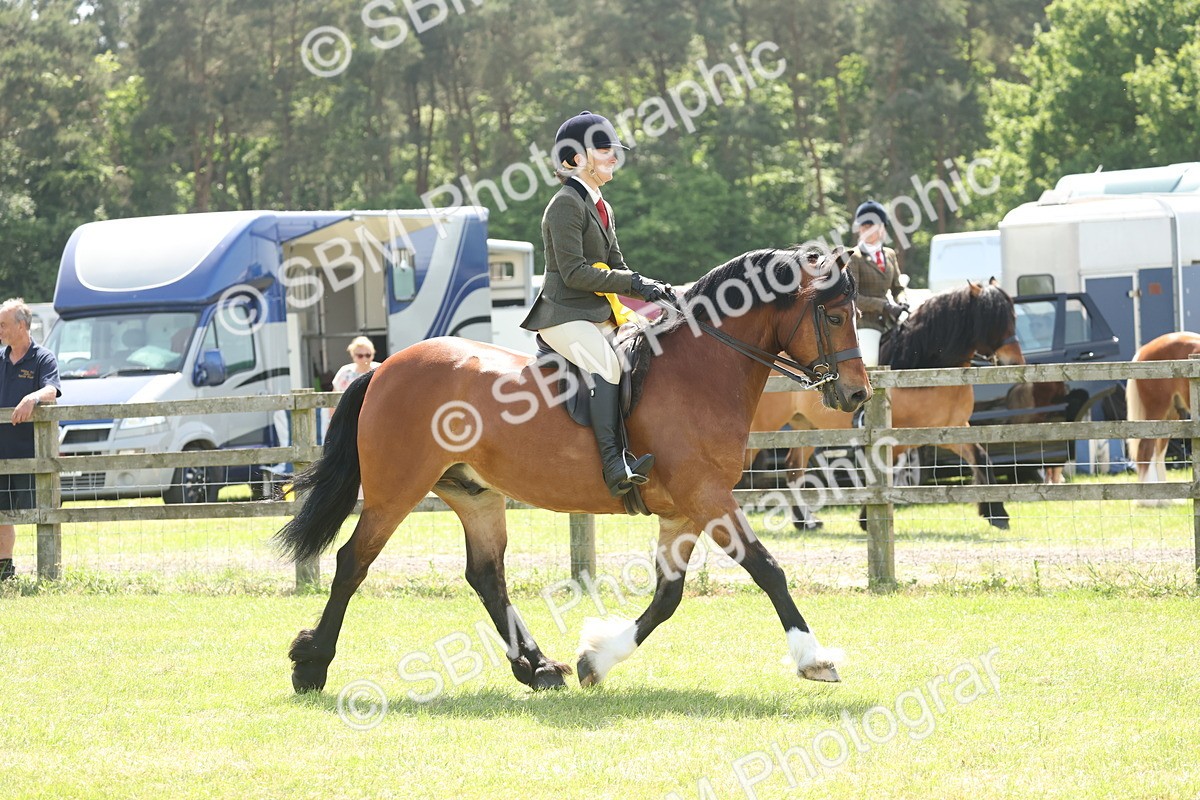 SBM_07013 - Class 26-30 - Mountain and Moorland Ridden