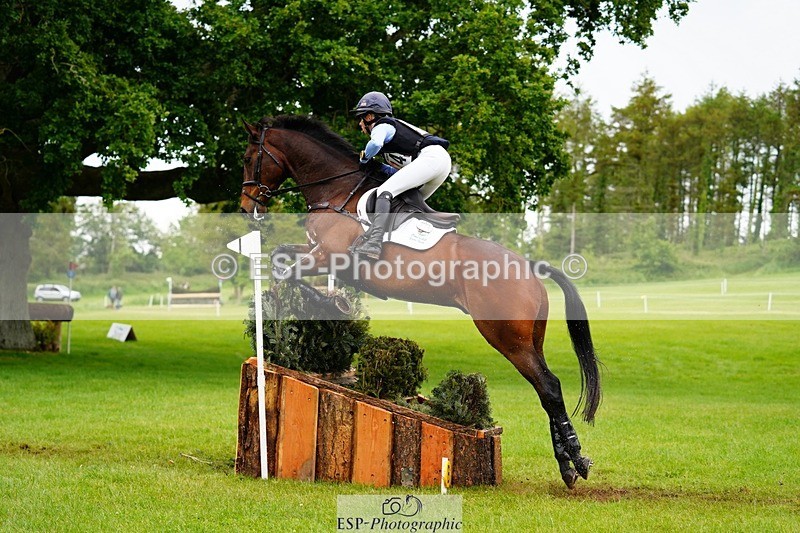 240525-174426-19272 - 274-JACK_OF_CLUBS-Rosalind_Canter