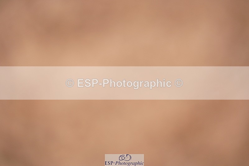 240628A-160244-00045 - Cls 1 Intro 80cm