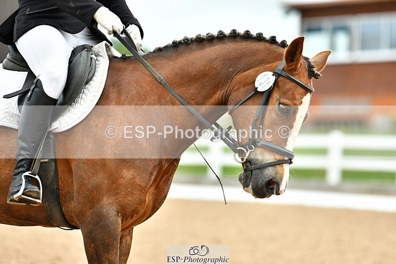 230630A-102021-00310 - Cls 2 Prelim 19