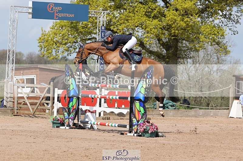 250427-114105-16042 - Cls 36 Young Horse 7yr old