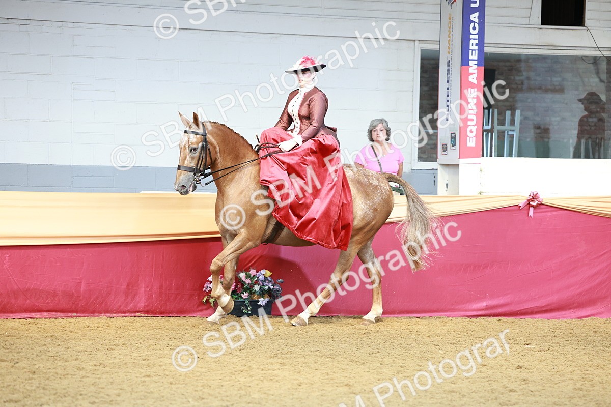 SBM_13572 - Class 105 - Ridden Costume - Side Saddle