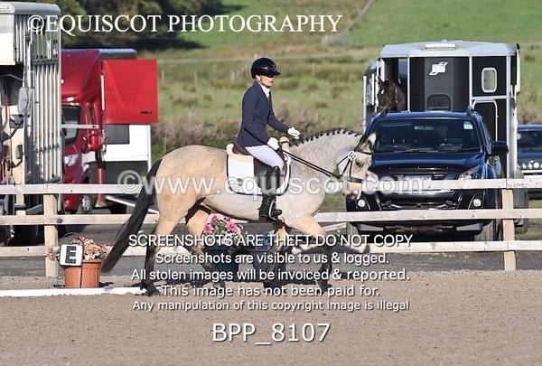 BPP_8107 - SHORT ARENA