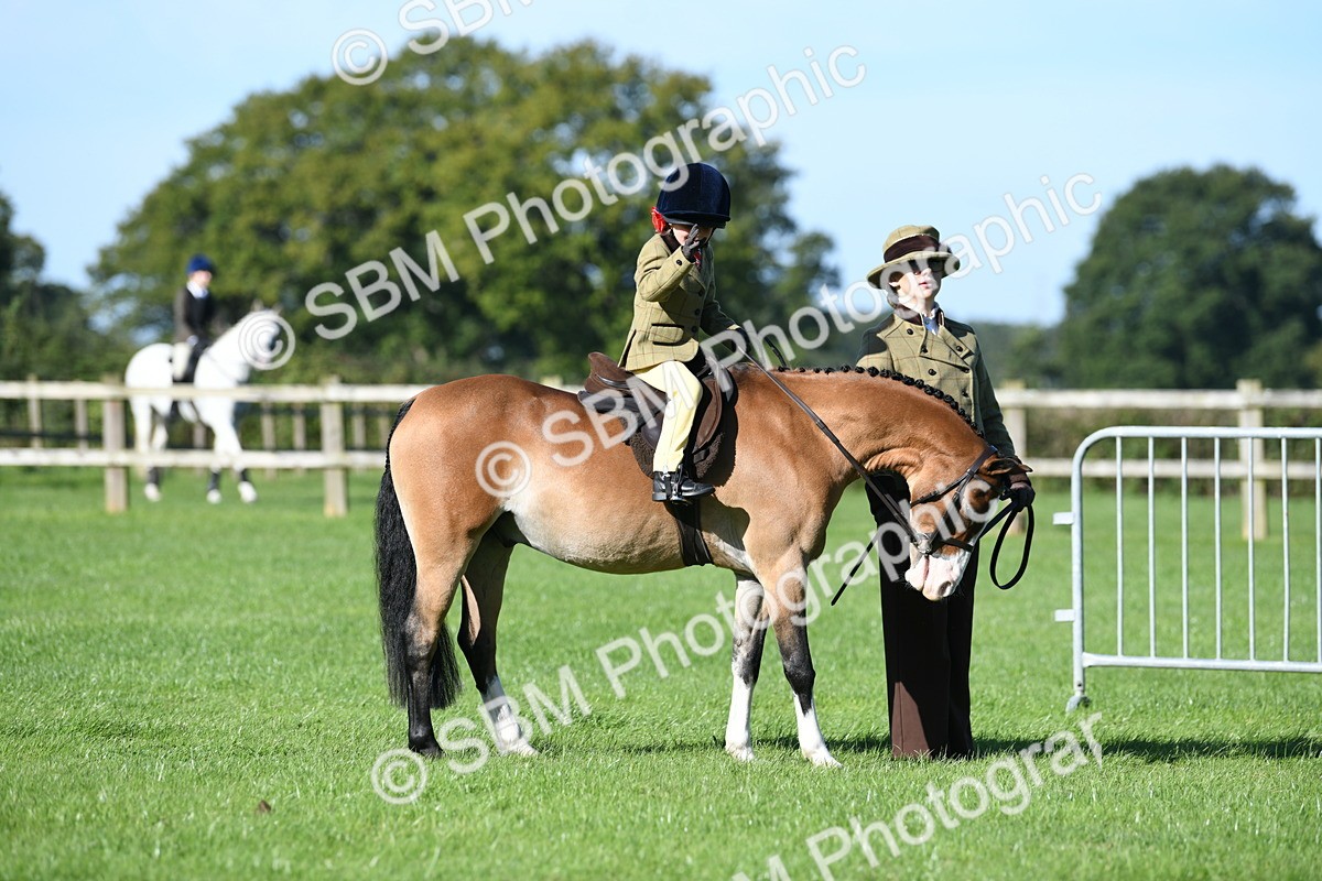 SBM_36754 - S18 - Novice & Newcomers Lead Rein Pony