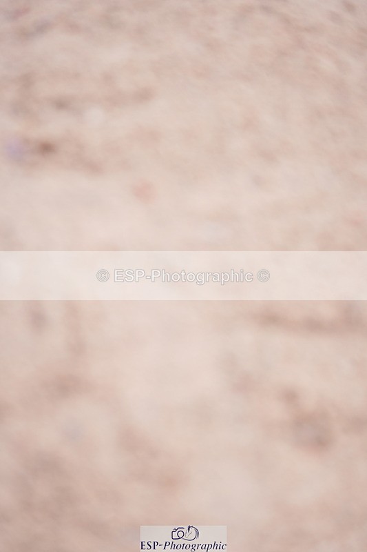 240804A-113252-10631 - Cls 43 5 Yr Old Champs