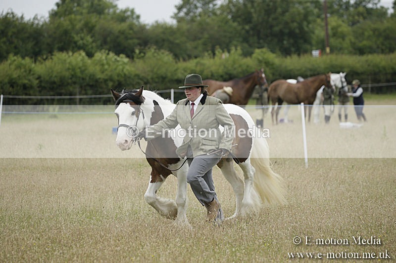 B230619-0745 - Bourne Valley Riding Club Summer Show 23/06/19