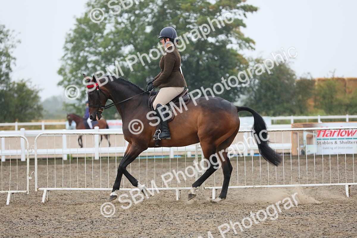 SBM_20025 - Class 802 - Ridden Groom - Helpers class