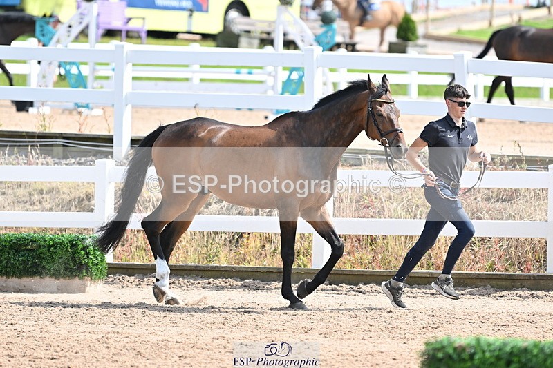 240717A-153432-02894 - Trot Up 3pm to 4pm