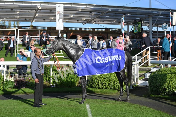 yr08102021r3-53 - Race 3 3.15pm Download The Casumo App Today Handicap
