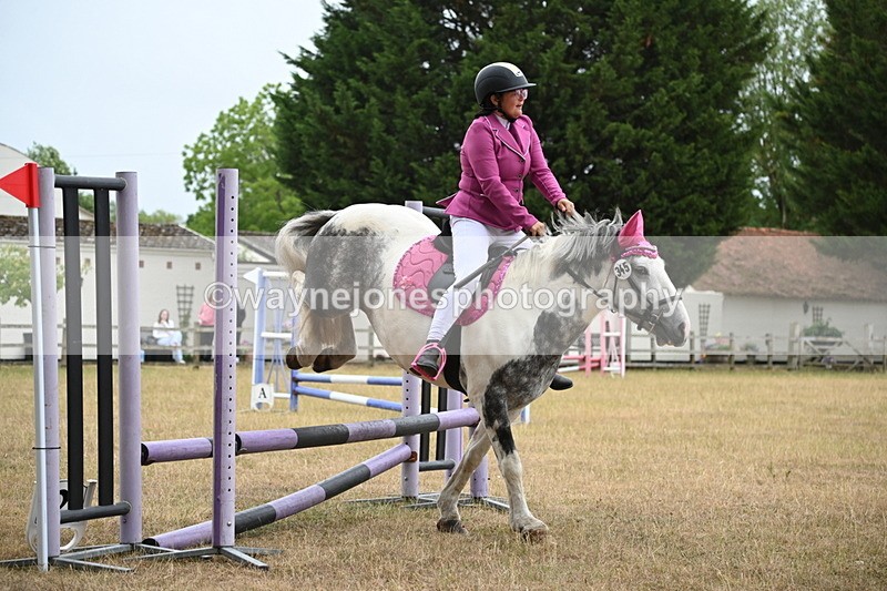 WJ6_0089 - Class 13 Novice Jumping 60cm