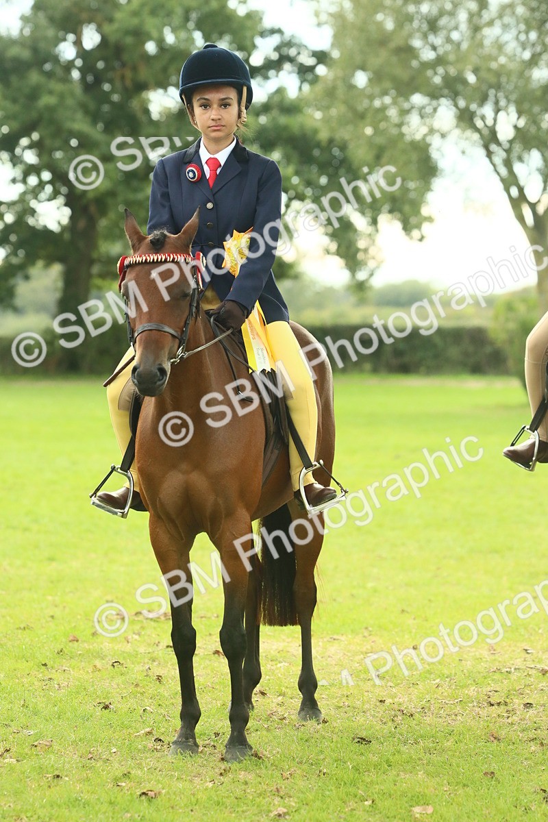SBM_74152 - S 61 - Show Pony & Show Hunter Pony Ridden